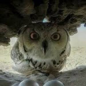 Meet your Posher, Jean